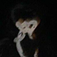 bunnyfox420_free Nude